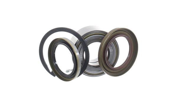 SET RULMENT ROATA