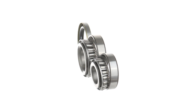 SET RULMENT ROATA