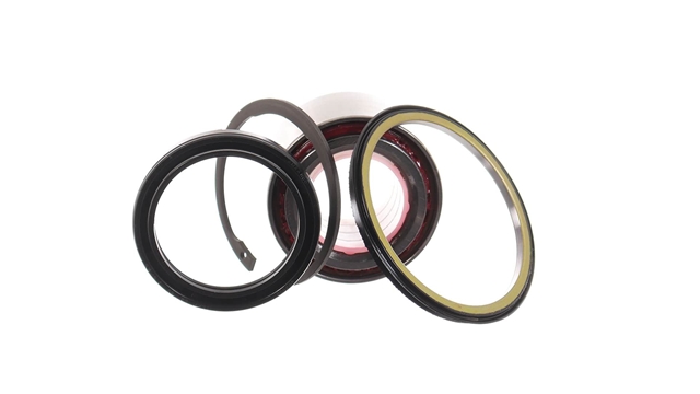 SET RULMENT ROATA