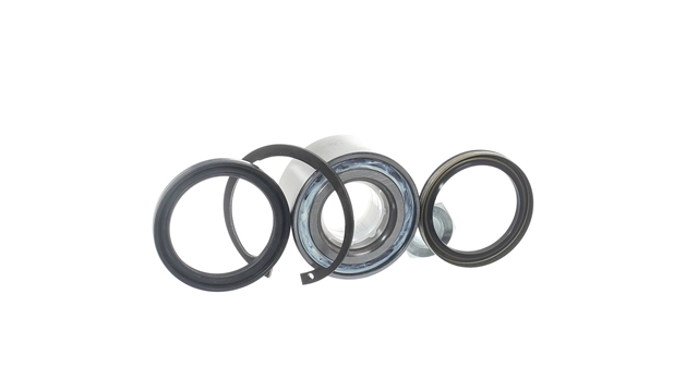 SET RULMENT ROATA