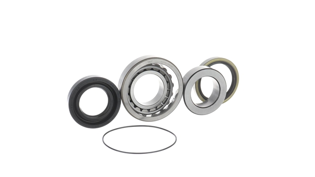 SET RULMENT ROATA
