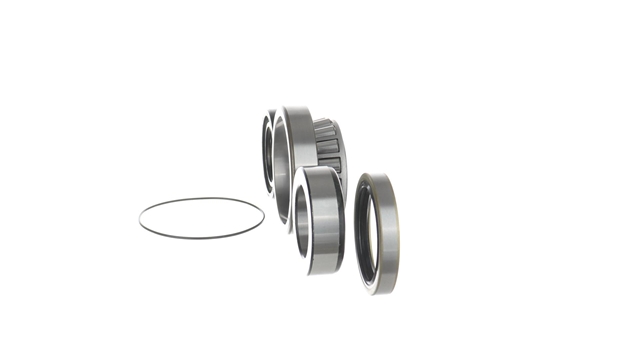 SET RULMENT ROATA