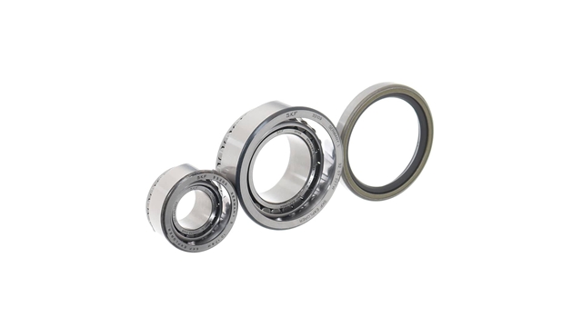 SET RULMENT ROATA