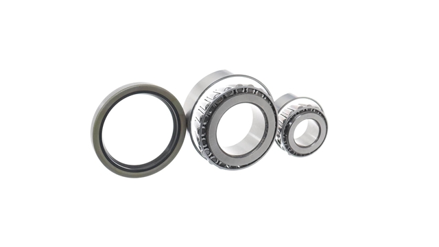 SET RULMENT ROATA