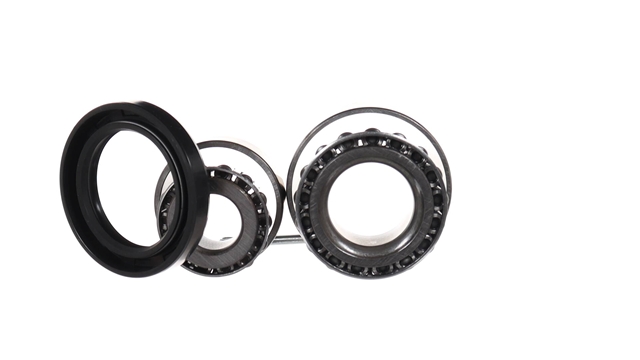 SET RULMENT ROATA