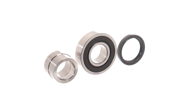 SET RULMENT ROATA
