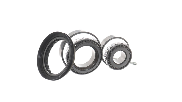 SET RULMENT ROATA