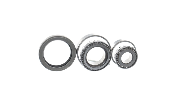SET RULMENT ROATA