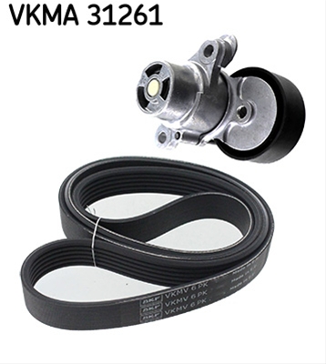 SET CUREA TRANSMISIE CU CANELURI