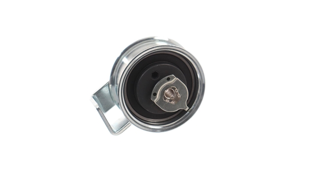 ROLA INTINZATOR,CUREA DISTRIBUTIE