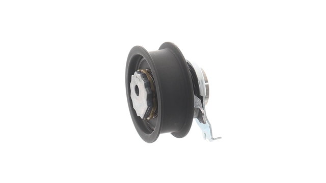 ROLA INTINZATOR,CUREA DISTRIBUTIE