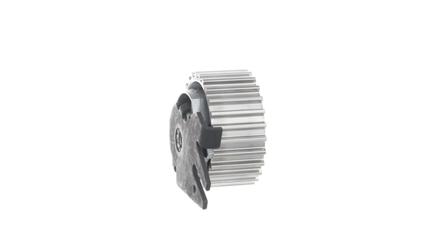 ROLA INTINZATOR,CUREA DISTRIBUTIE