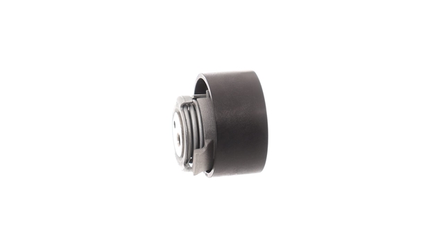 ROLA INTINZATOR,CUREA DISTRIBUTIE
