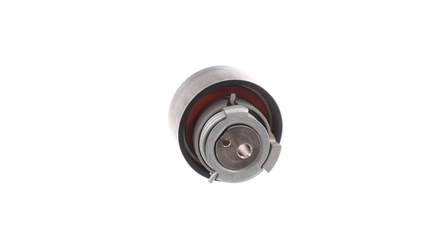 ROLA INTINZATOR,CUREA DISTRIBUTIE