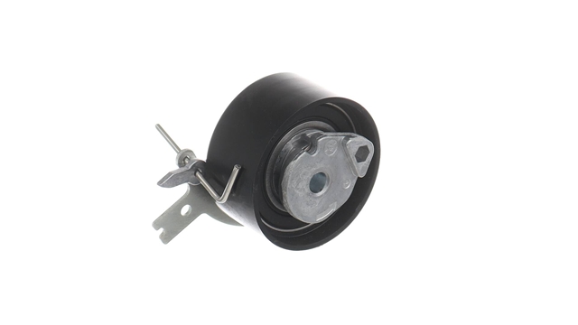 ROLA INTINZATOR,CUREA DISTRIBUTIE