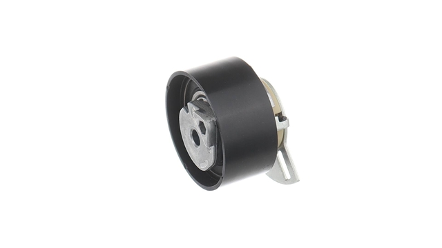 ROLA INTINZATOR,CUREA DISTRIBUTIE