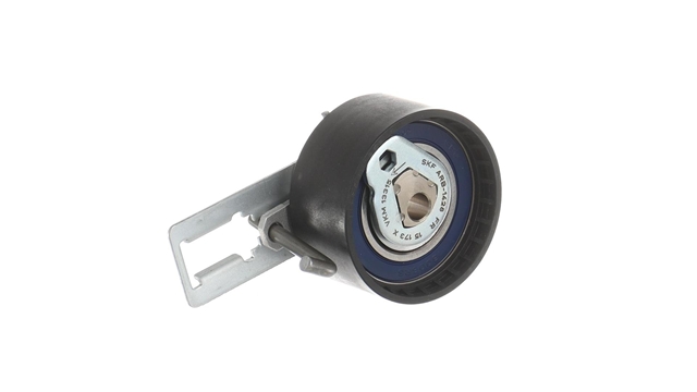 ROLA INTINZATOR,CUREA DISTRIBUTIE