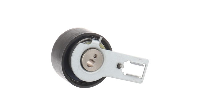 ROLA INTINZATOR,CUREA DISTRIBUTIE