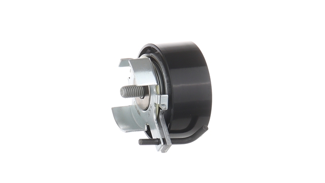 ROLA INTINZATOR,CUREA DISTRIBUTIE