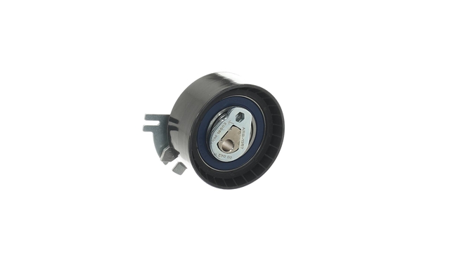 ROLA INTINZATOR,CUREA DISTRIBUTIE
