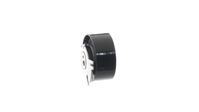 ROLA INTINZATOR,CUREA DISTRIBUTIE