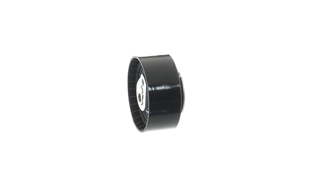 ROLA INTINZATOR,CUREA DISTRIBUTIE