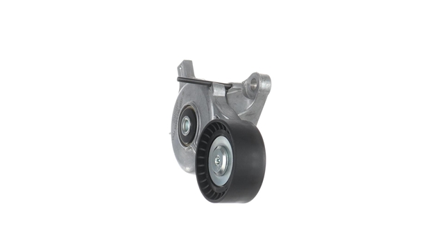 INTINZATOR CUREA CUREA DISTRIBUTIE
