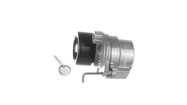 ROLA INTINZATOR,CUREA TRANSMISIE