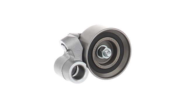 ROLA INTINZATOR,CUREA DISTRIBUTIE