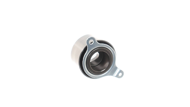 ROLA INTINZATOR,CUREA DISTRIBUTIE