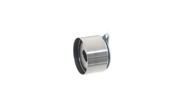 ROLA INTINZATOR,CUREA DISTRIBUTIE