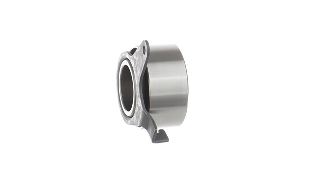 ROLA INTINZATOR,CUREA DISTRIBUTIE
