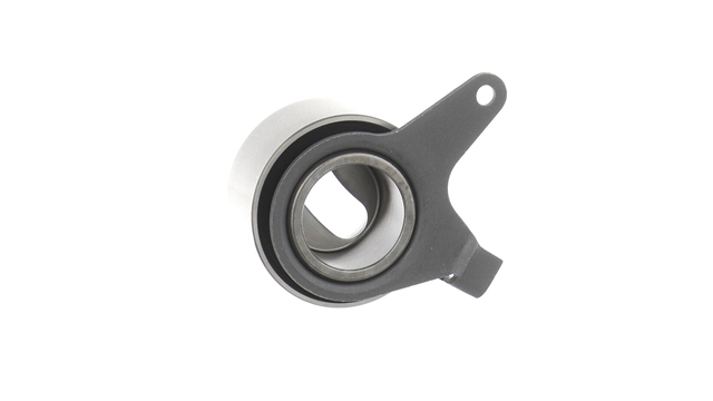 ROLA INTINZATOR,CUREA DISTRIBUTIE