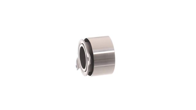 ROLA INTINZATOR,CUREA DISTRIBUTIE