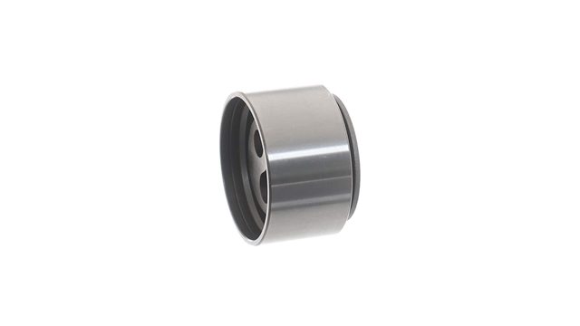 ROLA INTINZATOR,CUREA DISTRIBUTIE