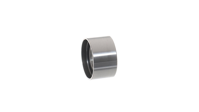 ROLA INTINZATOR,CUREA DISTRIBUTIE