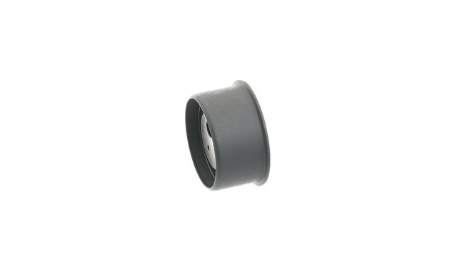 ROLA INTINZATOR,CUREA DISTRIBUTIE