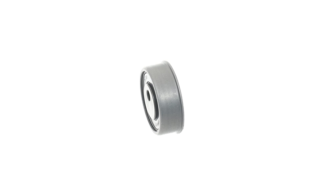 ROLA INTINZATOR,CUREA DISTRIBUTIE