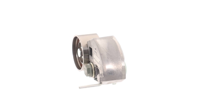 ROLA INTINZATOR,CUREA DISTRIBUTIE