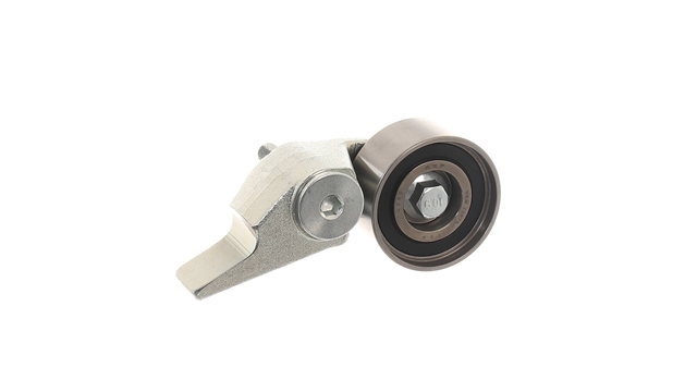 ROLA INTINZATOR,CUREA DISTRIBUTIE