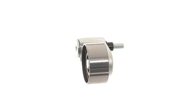 ROLA INTINZATOR,CUREA DISTRIBUTIE