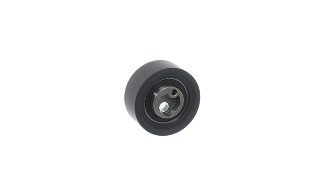 ROLA INTINZATOR,CUREA DISTRIBUTIE