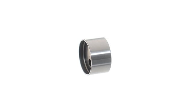 ROLA INTINZATOR,CUREA DISTRIBUTIE