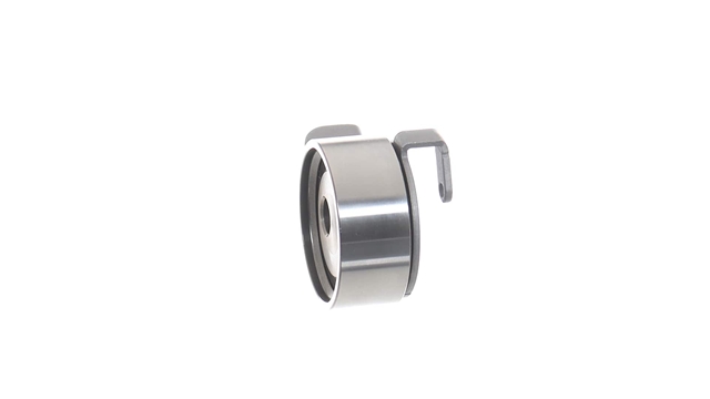 ROLA INTINZATOR,CUREA DISTRIBUTIE