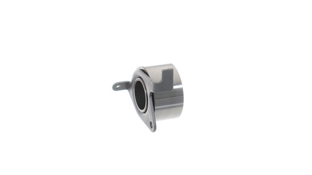 ROLA INTINZATOR,CUREA DISTRIBUTIE