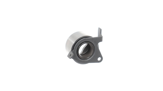 ROLA INTINZATOR,CUREA DISTRIBUTIE