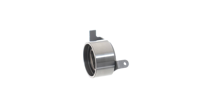 ROLA INTINZATOR,CUREA DISTRIBUTIE