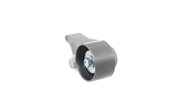 ROLA INTINZATOR,CUREA DISTRIBUTIE