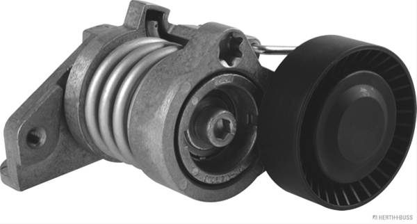 INTINZATOR CUREA, CUREA DISTRIBUTIE