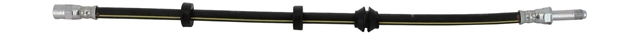 FURTUN FRANA